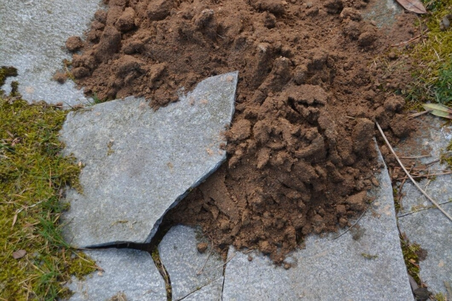 Soil Stabilization Services in Lake Wales